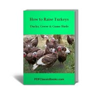 How to Raise Turkeys, Ducks, Geese and Game Birds