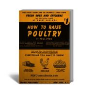 How to Raise Poultry in Your Backyard