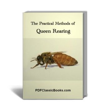 The Practical Methods of Queen Rearing