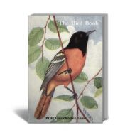 The Bird Book