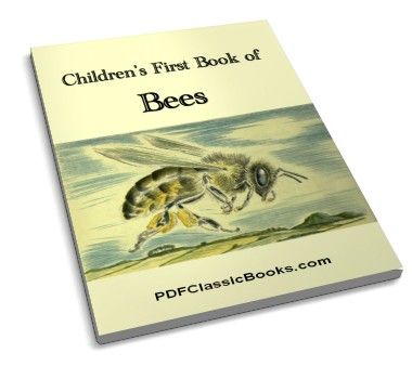 Children's First Book of Bees