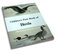Children's First Book of Birds