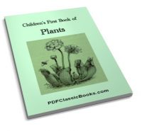 Children's First Book of Plants