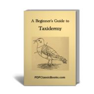 A Beginner's Guide to Taxidermy