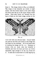 Click to enlarge