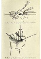 Click to enlarge